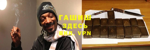 PSILOCYBIN Алзамай