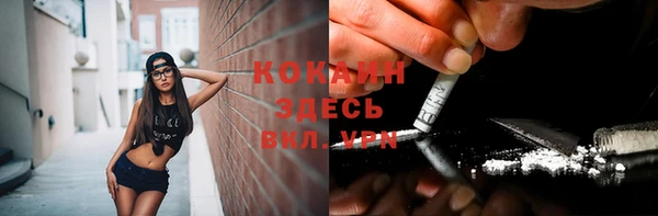 ПСИЛОЦИБИНОВЫЕ ГРИБЫ Алексин