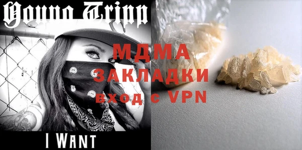 PSILOCYBIN Алзамай