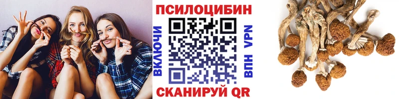 Псилоцибиновые грибы Psilocybine cubensis  Туймазы 