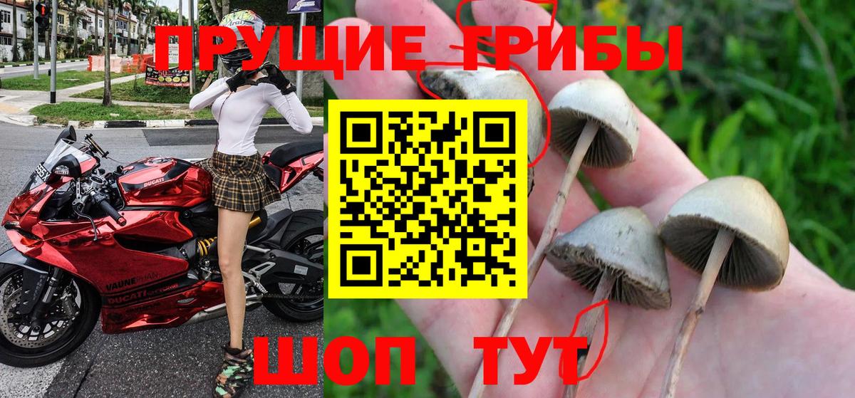 Галлюциногенные грибы GOLDEN TEACHER  Вход с VPN  купить   Туймазы 