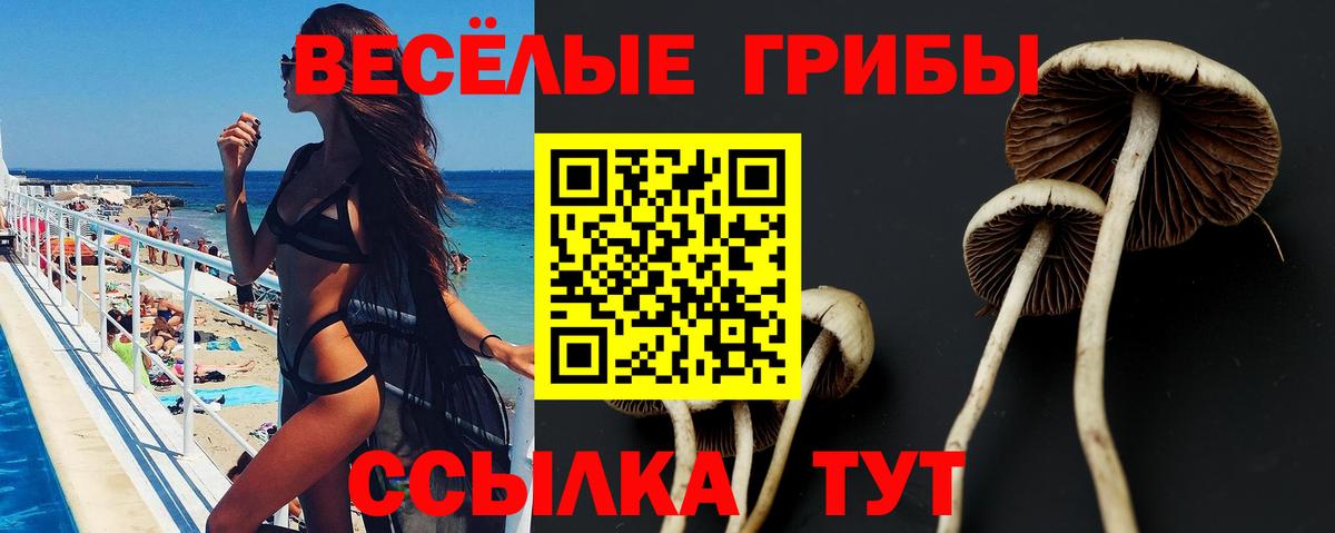 Галлюциногенные грибы Magic Shrooms Туймазы